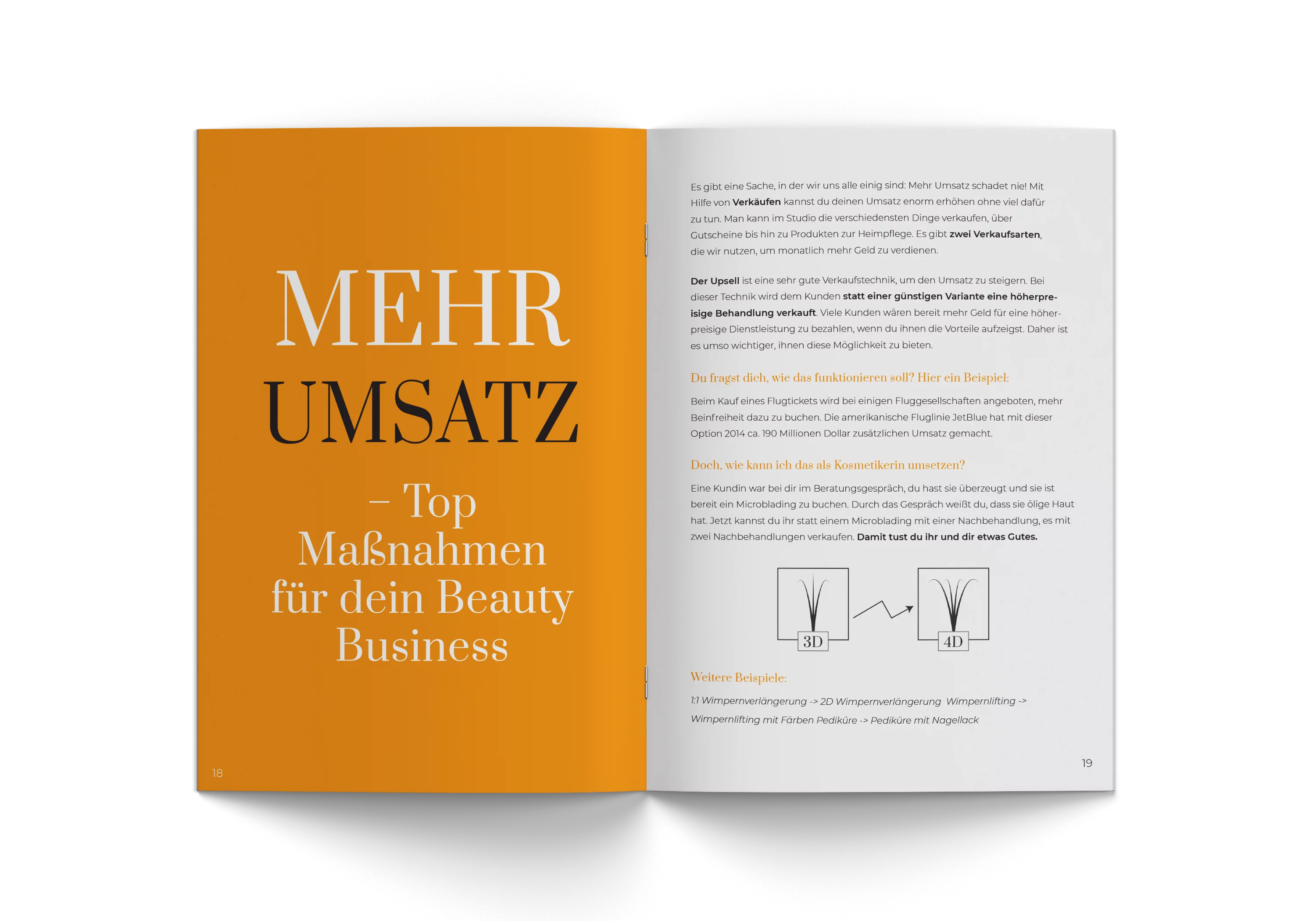 CASH BOOSTER  - MEHR UMSATZ FÜR DEIN STUDIO (PDF EDITION)