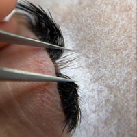 SILK LASHES